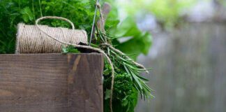Complete Guide to Culinary Herbs and How to Use Them